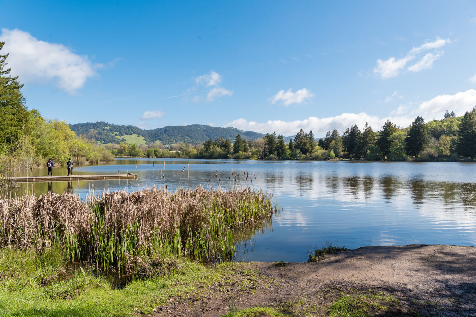 A calm lake with reeds in the foreground, surrounded by trees and hills under a partly cloudy sky; a few people stand on a wooden dock to the left.