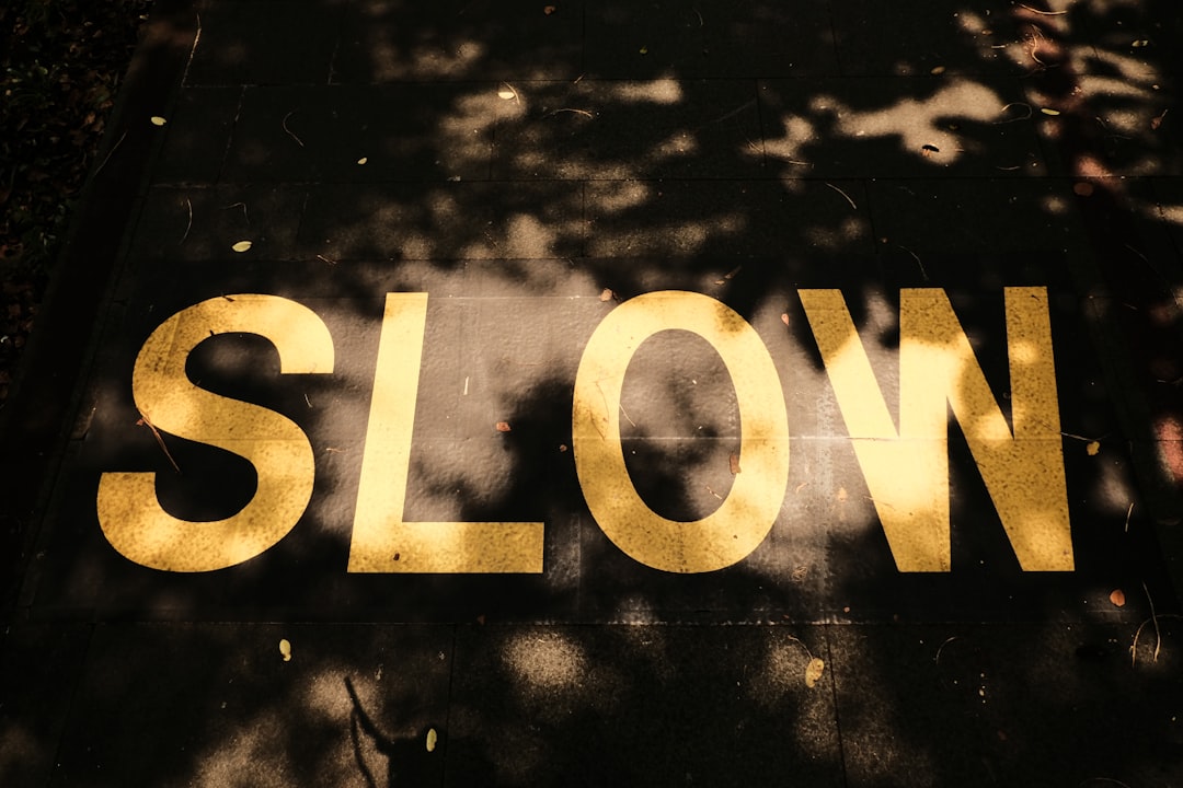 The word "SLOW" is painted in large yellow letters on a shaded pavement, with sunlight and leaves casting shadows across the surface—inviting reflection on the benefits of slow motion exercises.